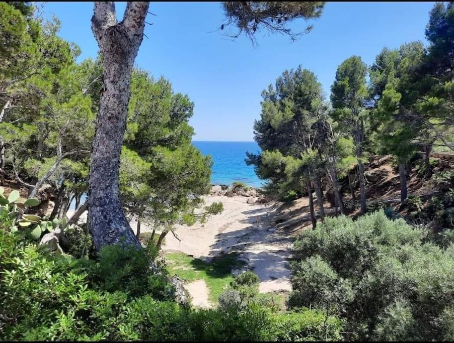 Villa Climatisee Bord De Mer Avec Piscine Privee Miami Playa Eksteriør billede