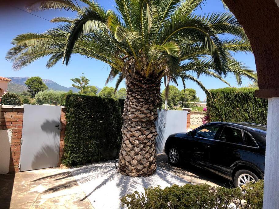 Villa Climatisee Bord De Mer Avec Piscine Privee Miami Playa Eksteriør billede